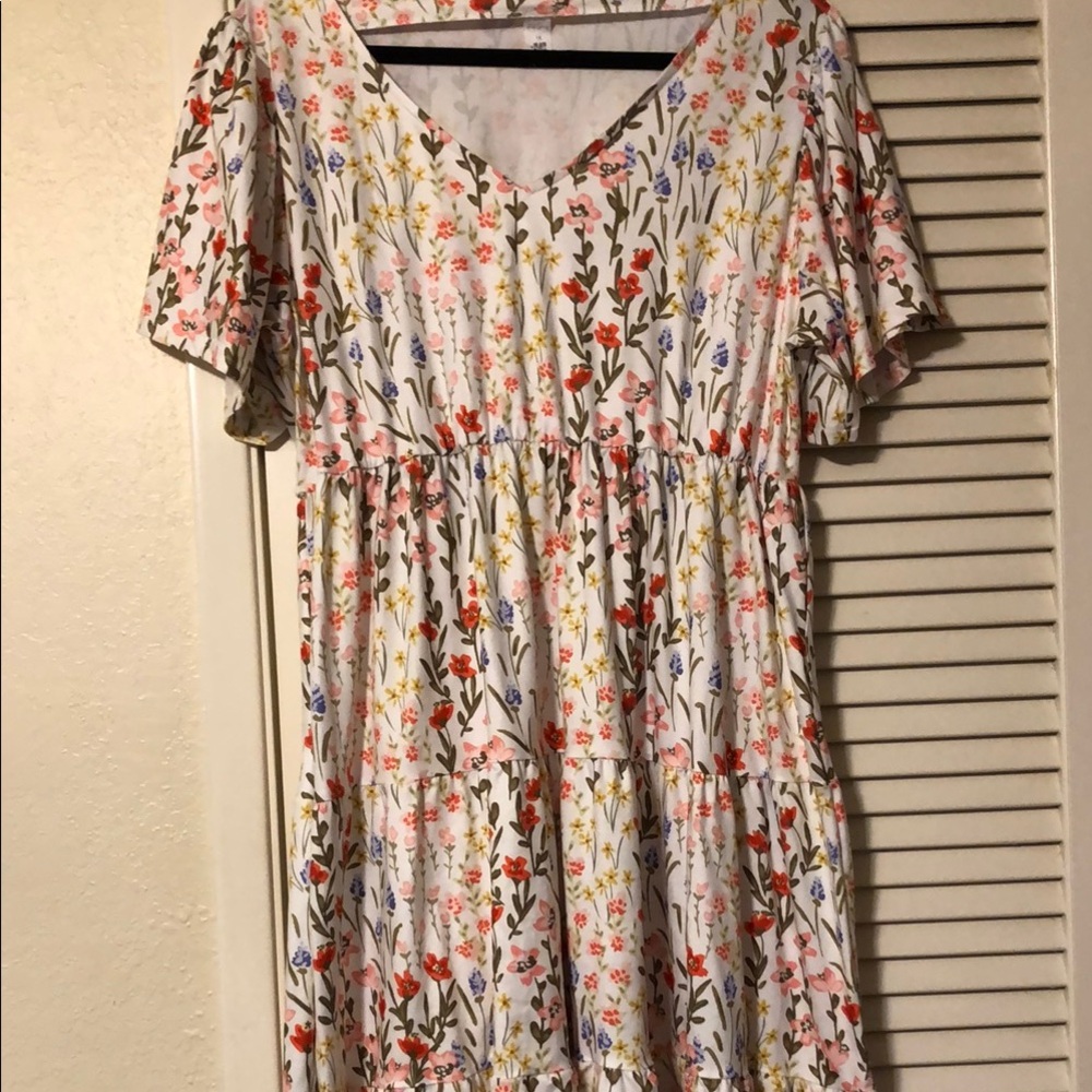 Pink Daisy Size 1x Dress
